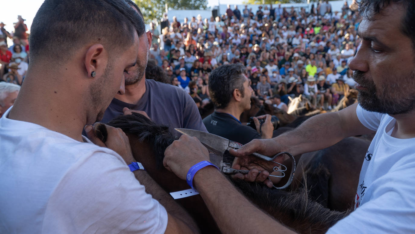 Fotos: Rapa das Bestas 2022