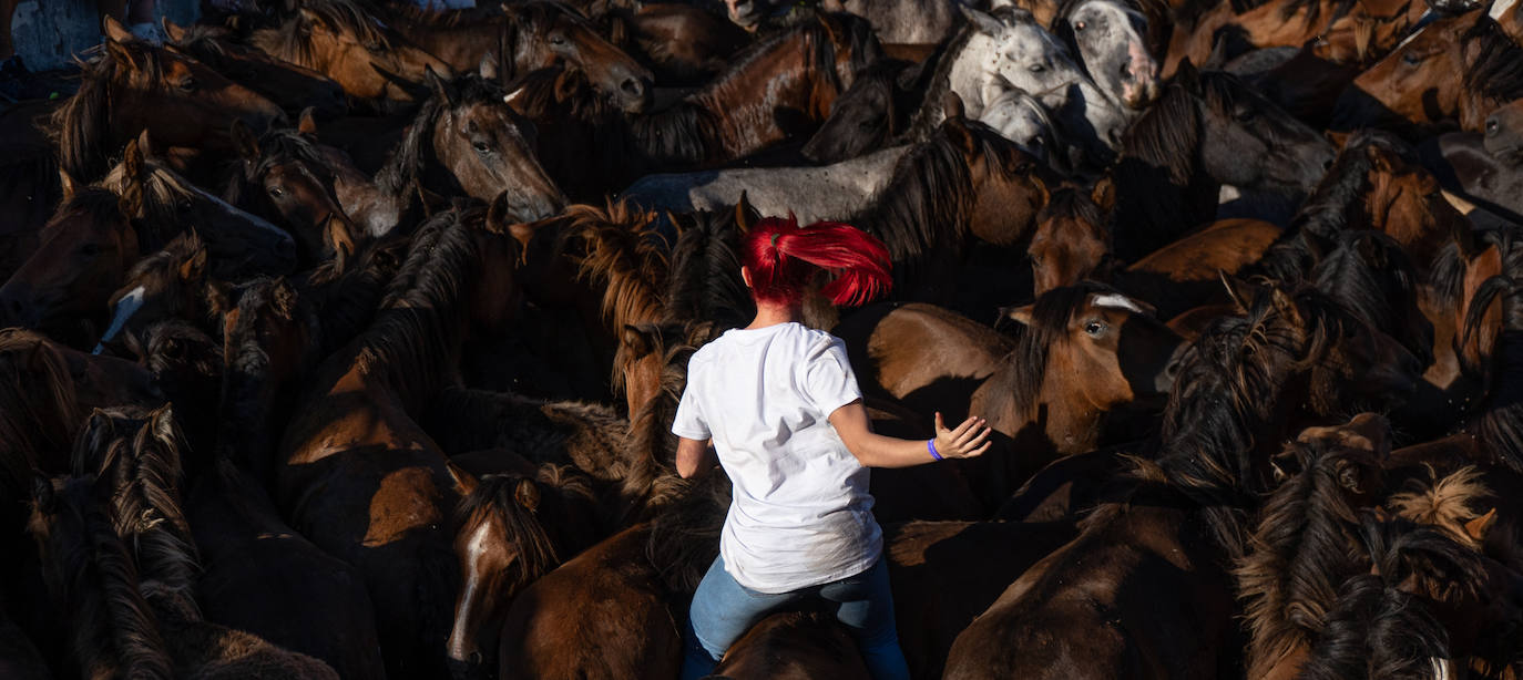 Fotos: Rapa das Bestas 2022