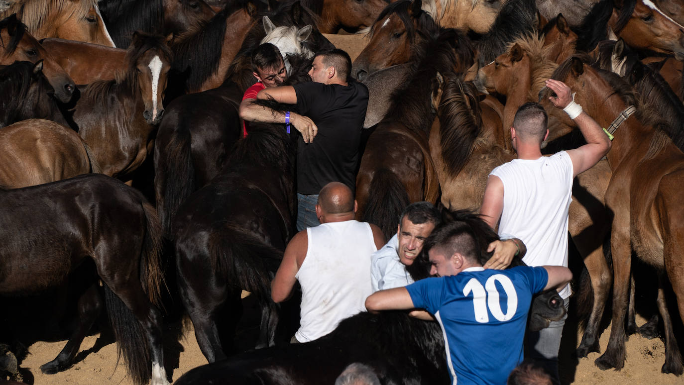 Fotos: Rapa das Bestas 2022