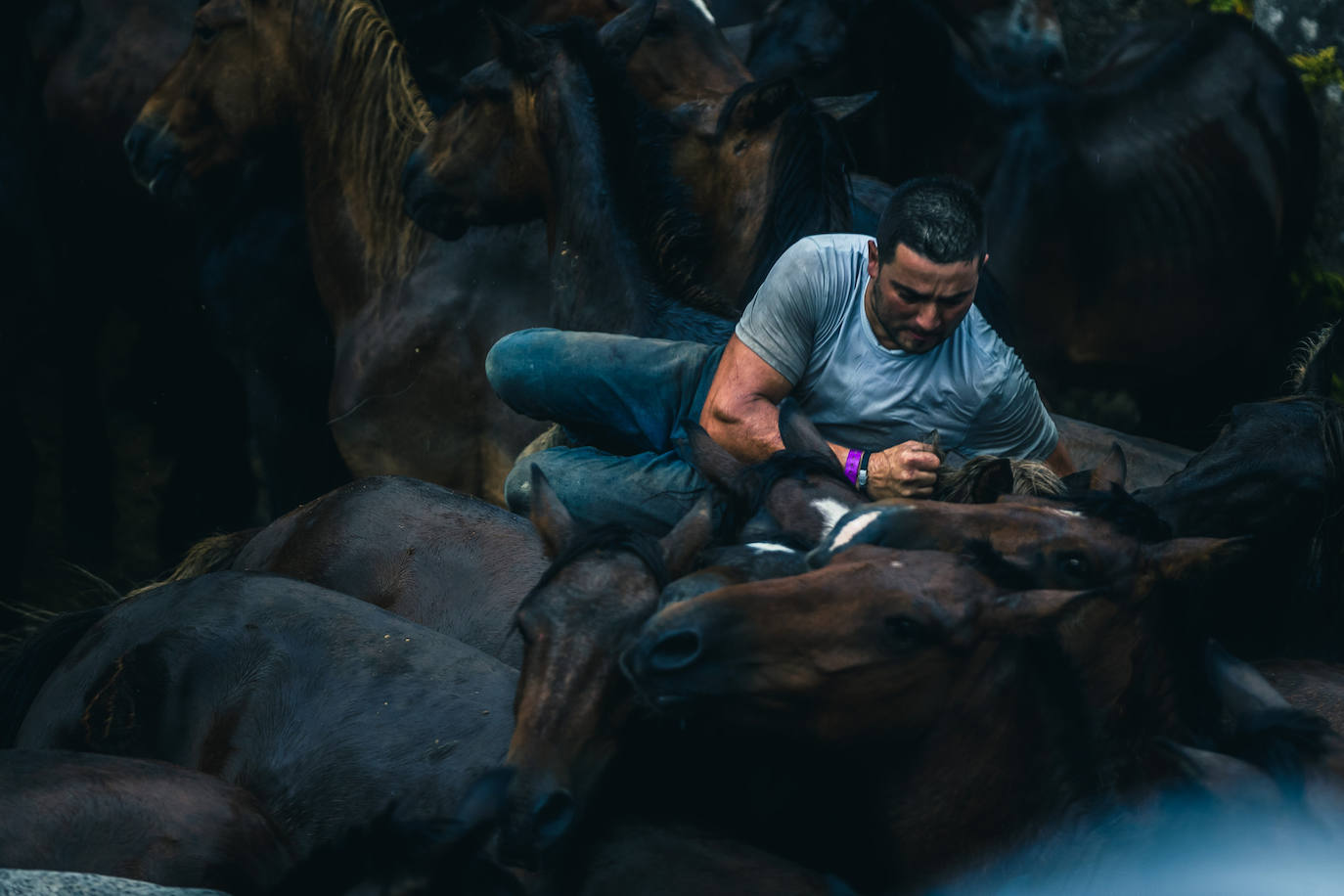 Fotos: Rapa das Bestas 2022