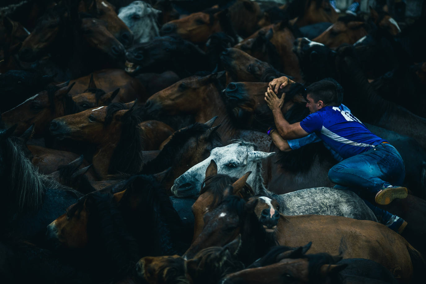 Fotos: Rapa das Bestas 2022