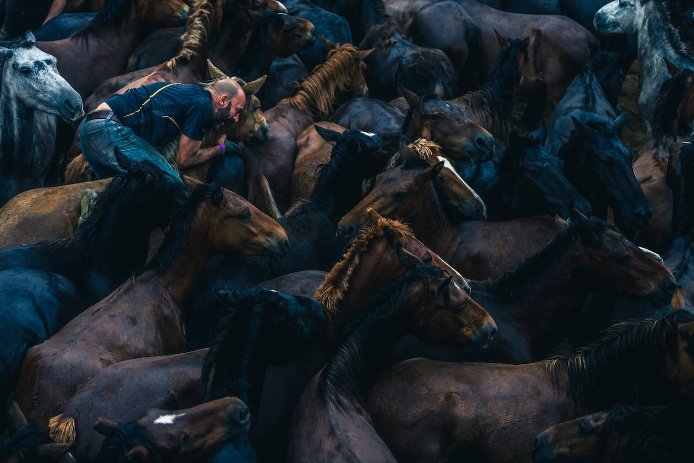 Fotos: Rapa das Bestas 2022