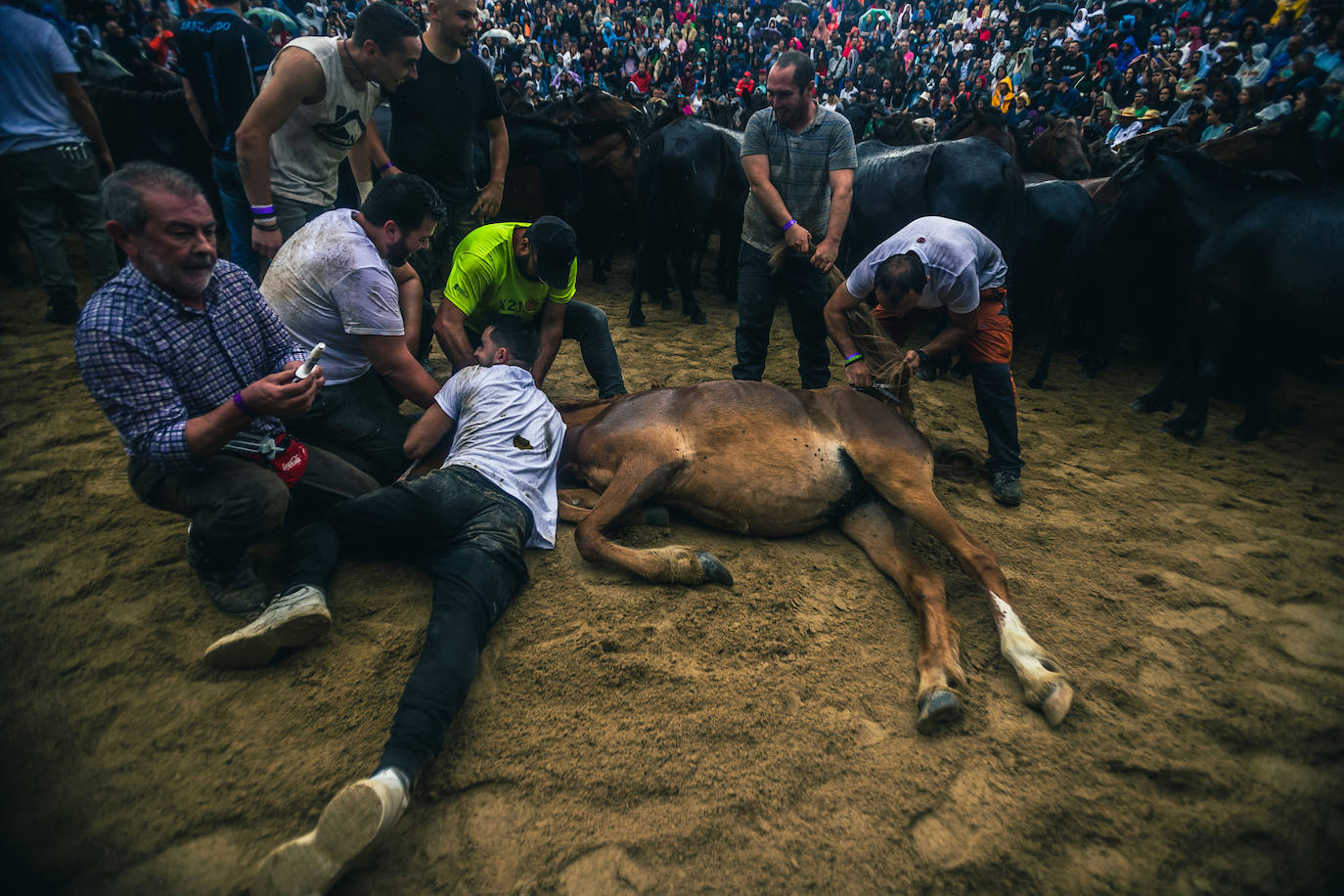 Fotos: Rapa das Bestas 2022