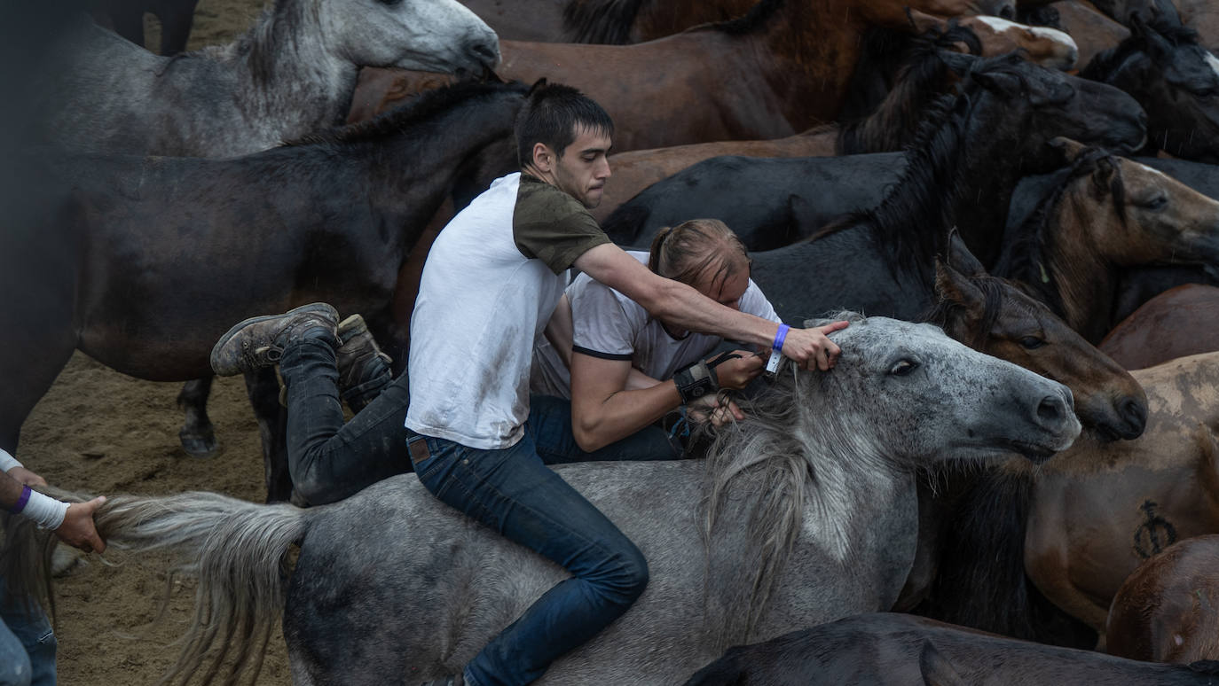 Fotos: Rapa das Bestas 2022