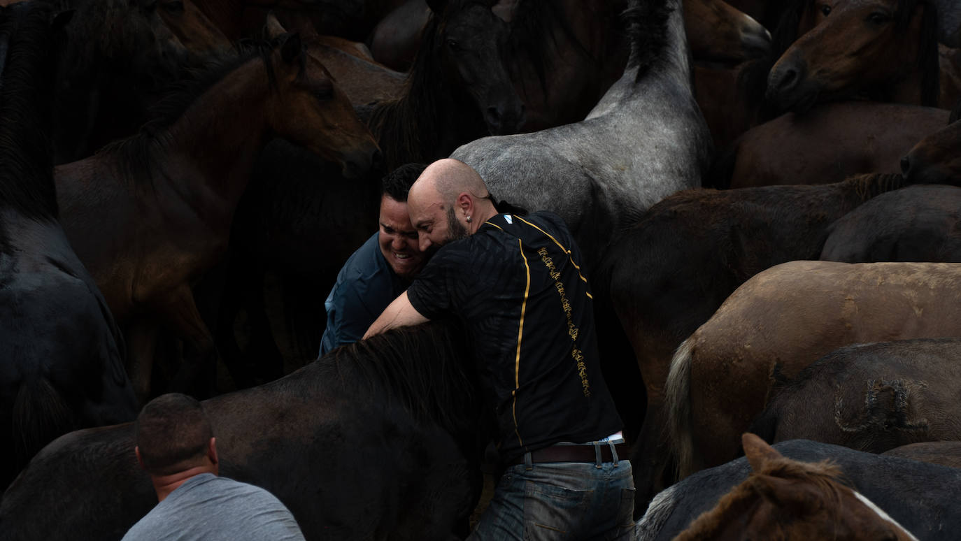 Fotos: Rapa das Bestas 2022