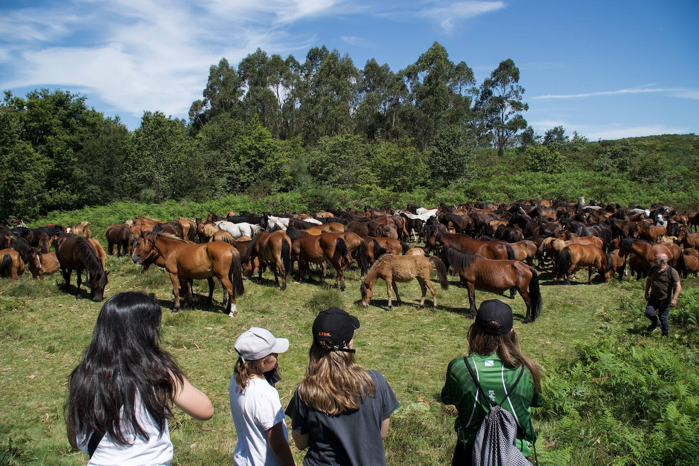 Fotos: Rapa das Bestas 2022