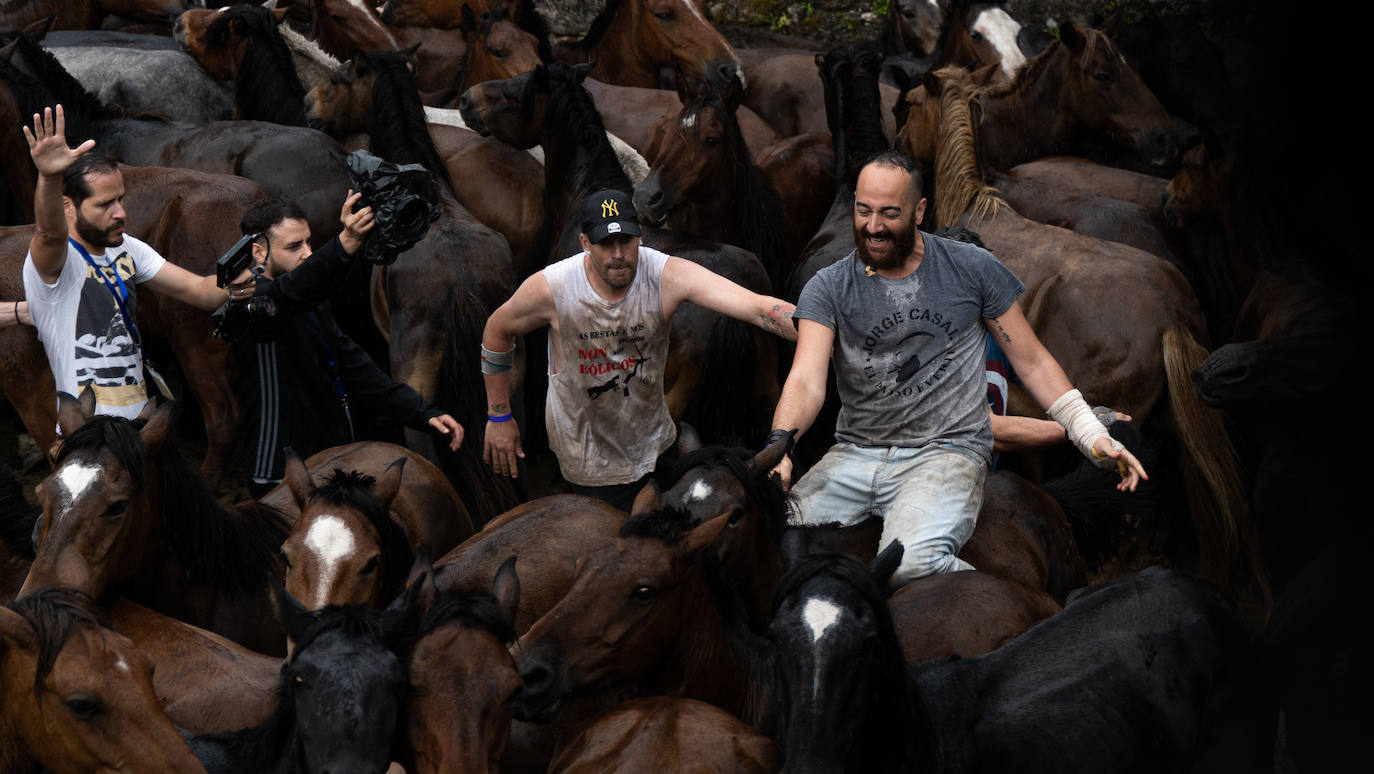 Fotos: Rapa das Bestas 2022