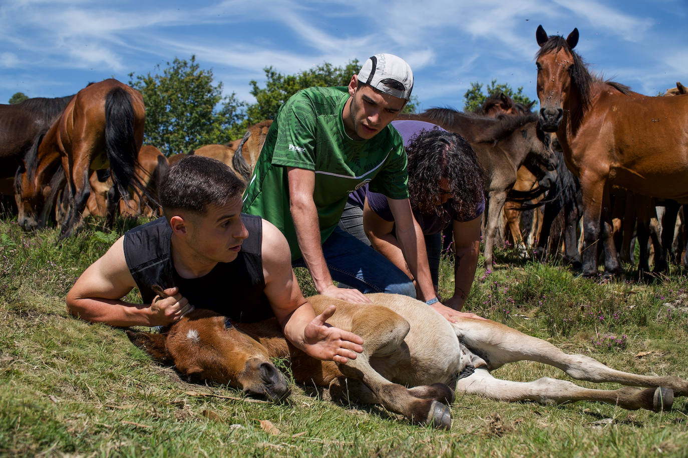 Fotos: Rapa das Bestas 2022