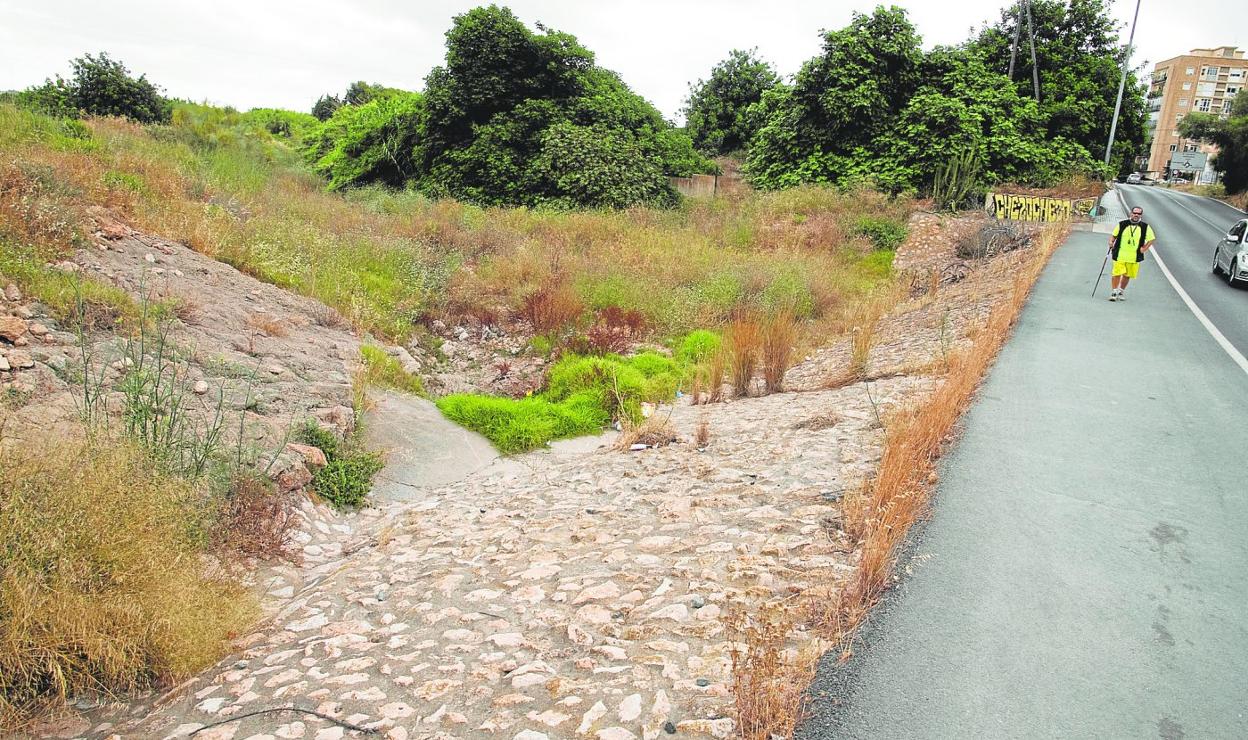 Maleza acumulada en la rambla de Canteras, junto a la carretera RM-E22 y cerca del Hospital Naval. 