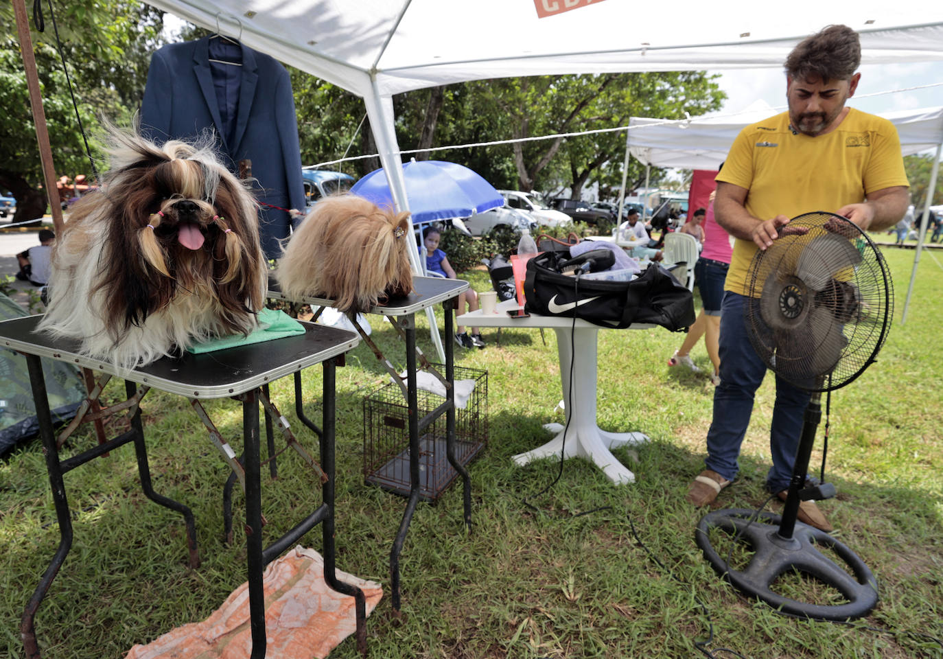 Fotos: Los mejores perros en La Habana