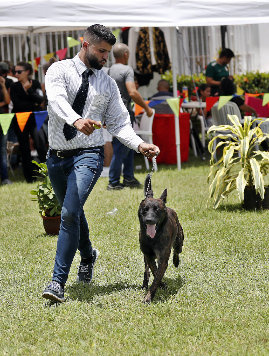 Fotos: Los mejores perros en La Habana