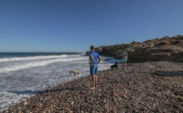 Playa de la Cañada del Negro, en una imagen de archivo.