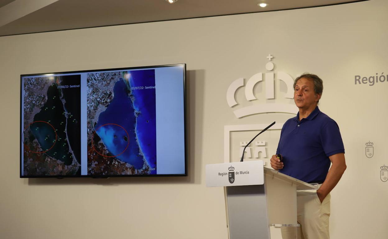 El portavoz del Comité Científico, informando este viernes sobre la situación del Mar Menor.