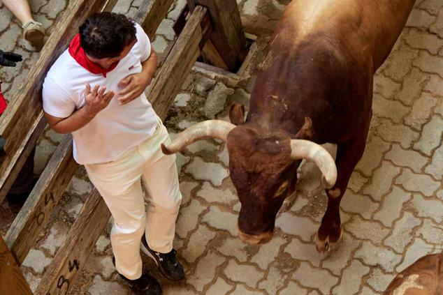 Los mozos, durante el octavo y último encierro de los Sanfermines con toros de la ganadería de Miura.