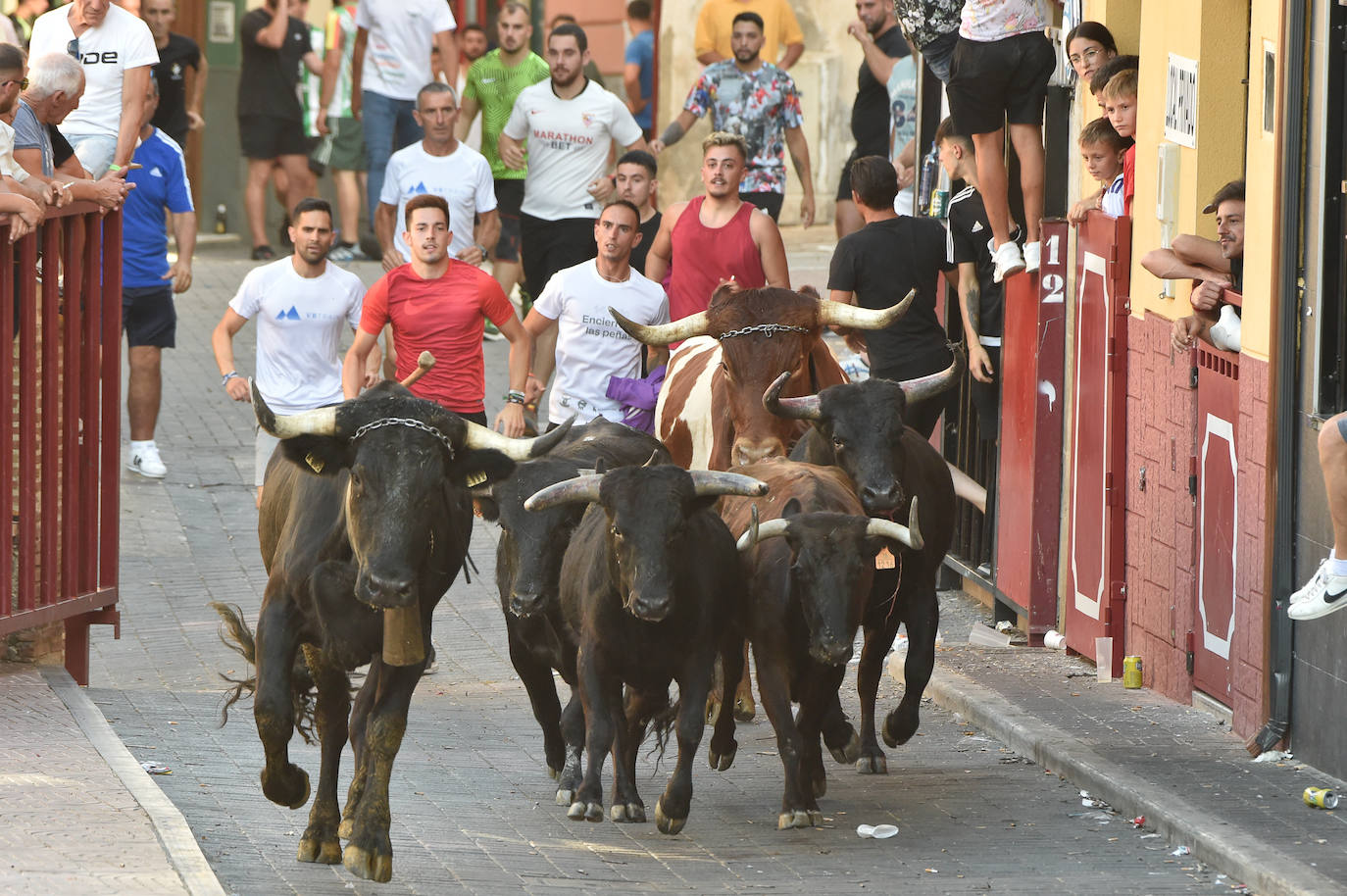 Fotos: Las imágenes del último encierro de Moratalla 2022