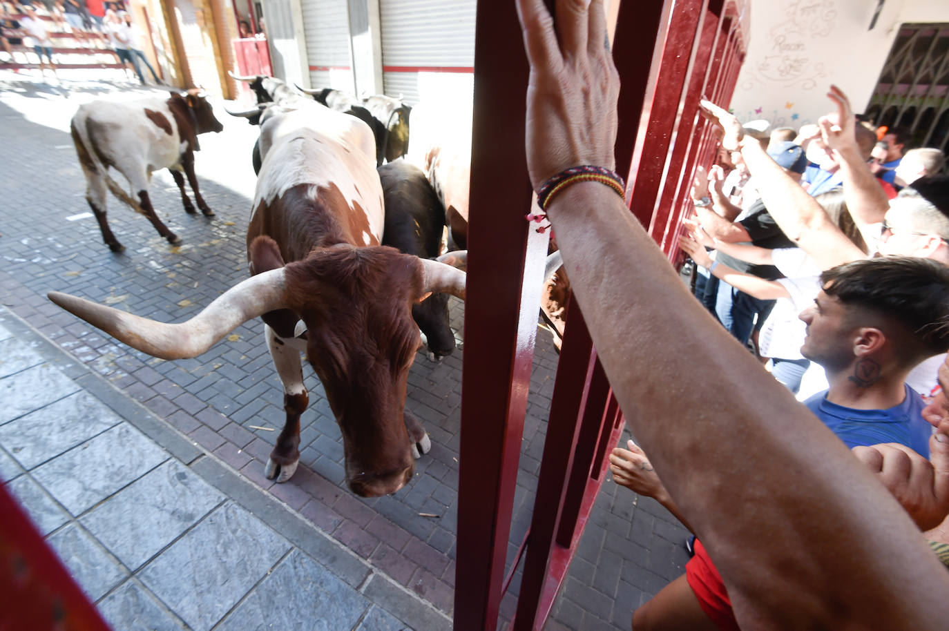 Fotos: Las imágenes del último encierro de Moratalla 2022