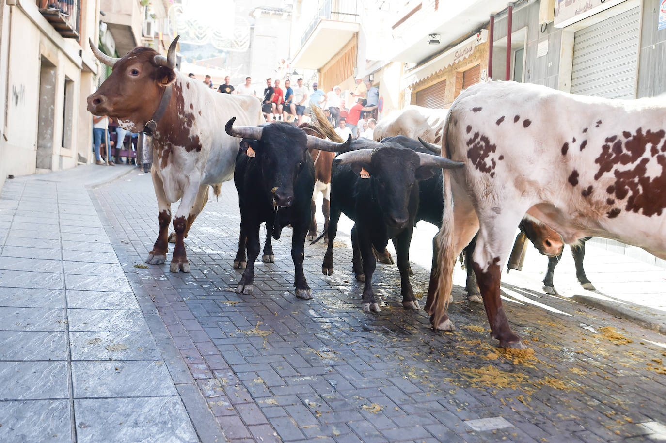 Fotos: Las imágenes del último encierro de Moratalla 2022