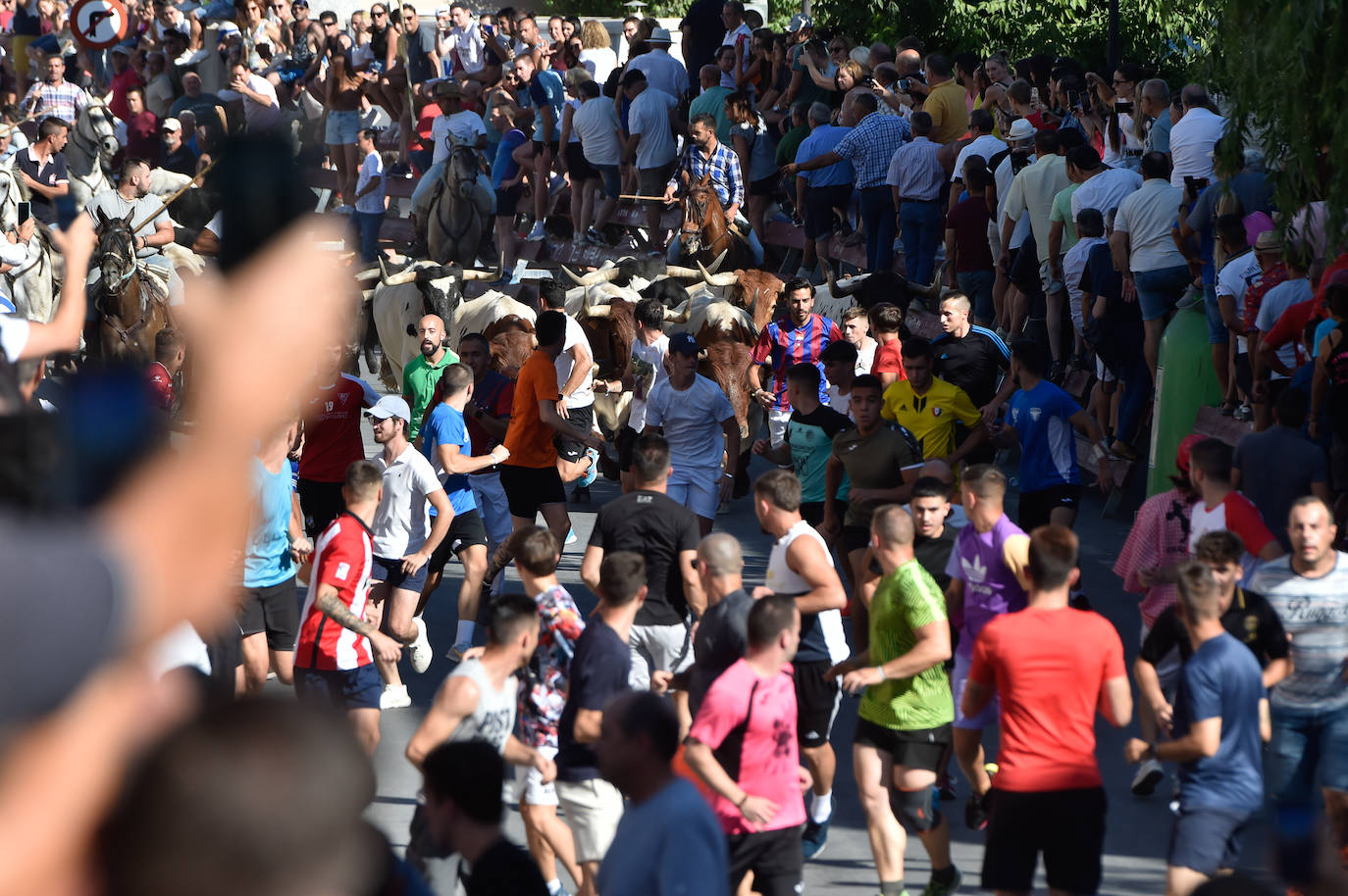 Fotos: Las imágenes del último encierro de Moratalla 2022