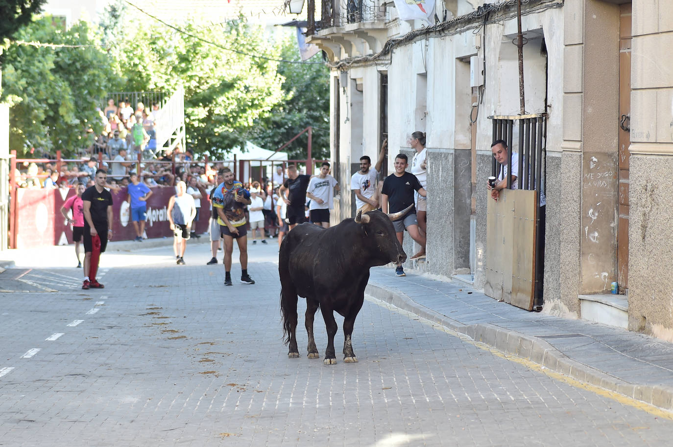 Fotos: Las imágenes del último encierro de Moratalla 2022