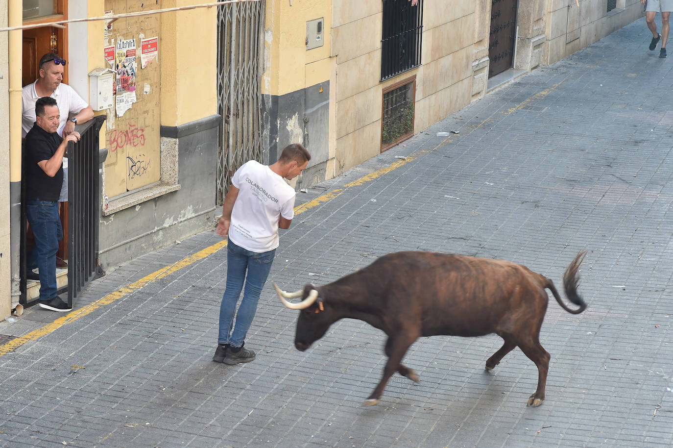 Fotos: Las imágenes del último encierro de Moratalla 2022