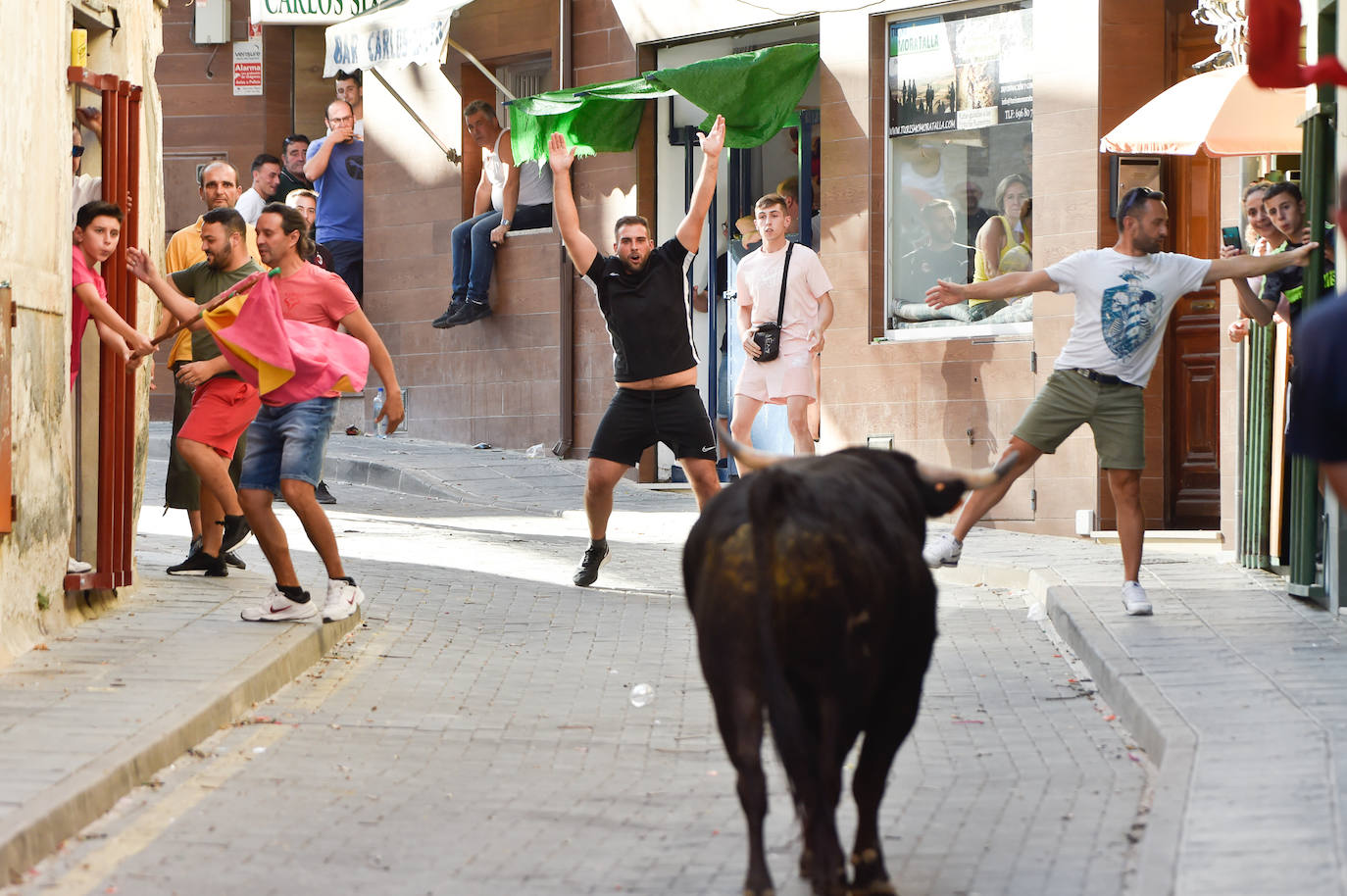 Fotos: Las imágenes del último encierro de Moratalla 2022