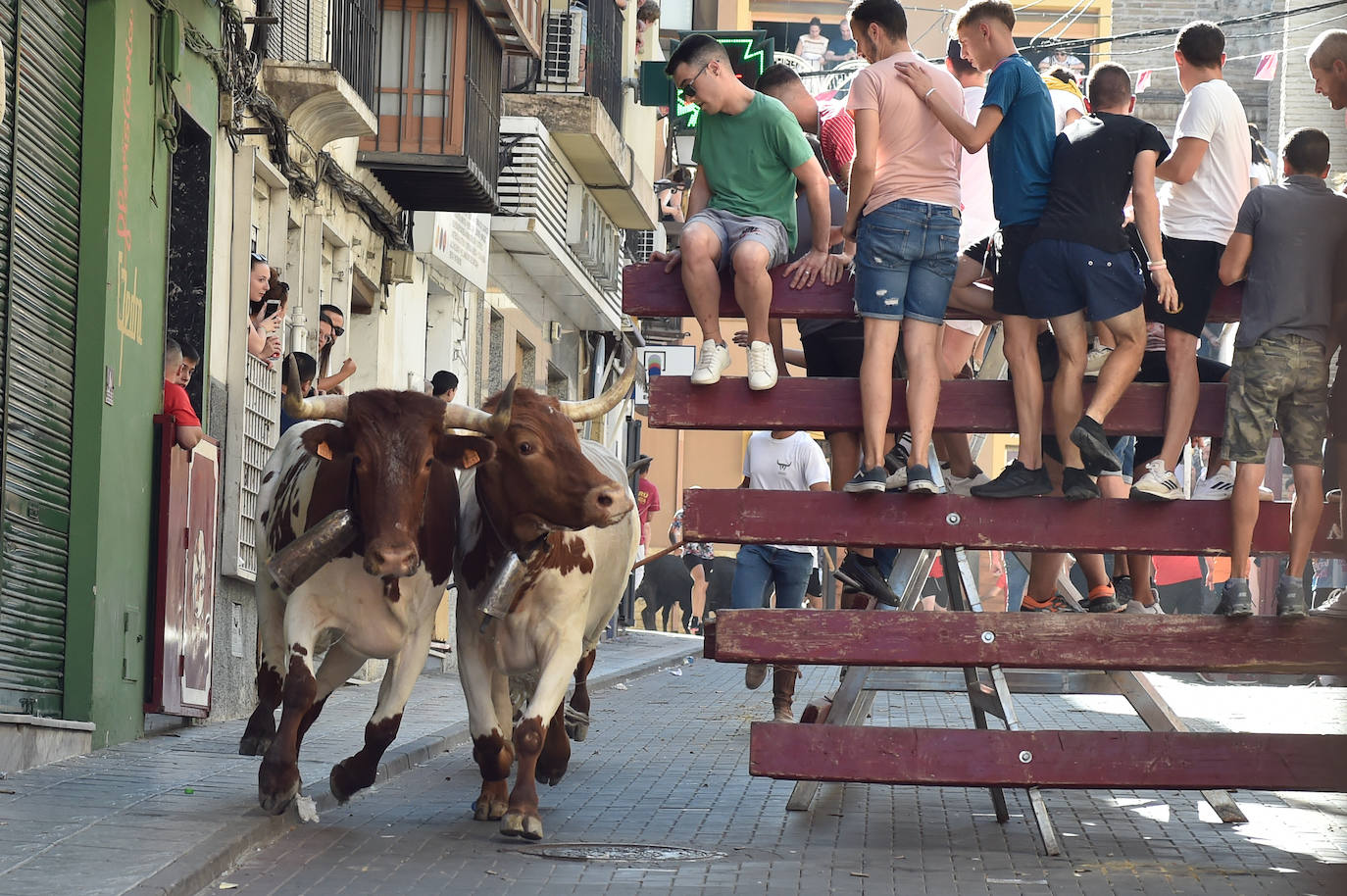 Fotos: Las imágenes del último encierro de Moratalla 2022
