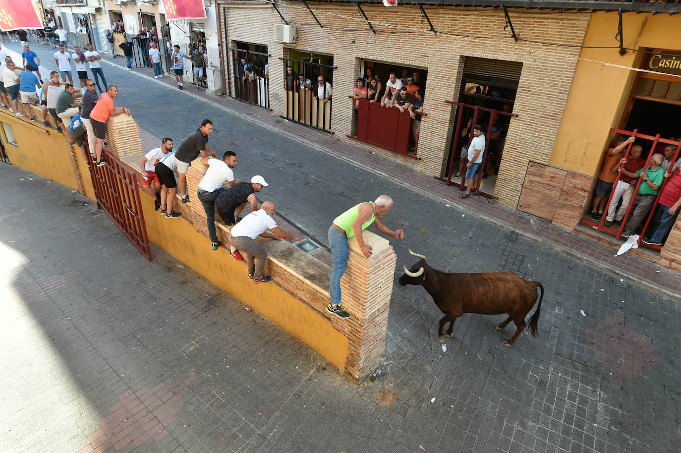 Fotos: Las imágenes del último encierro de Moratalla 2022