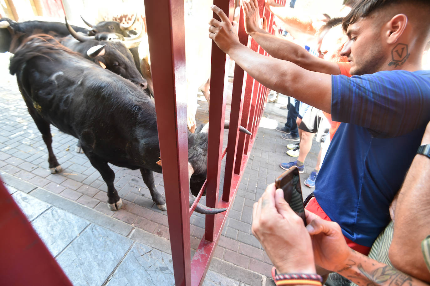 Fotos: Las imágenes del último encierro de Moratalla 2022