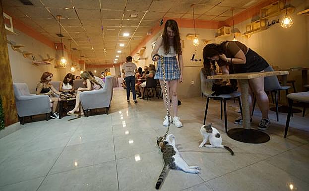 Galería. Las imágenes de la inauguración de la cafetería La Gatera 