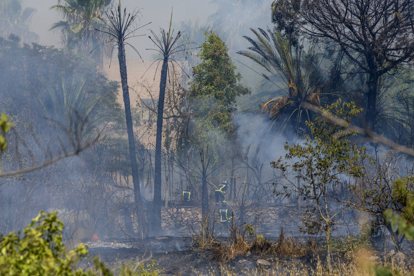 Fotos: Un incendio en un huerto se queda a las puertas del convento de Guadalupe