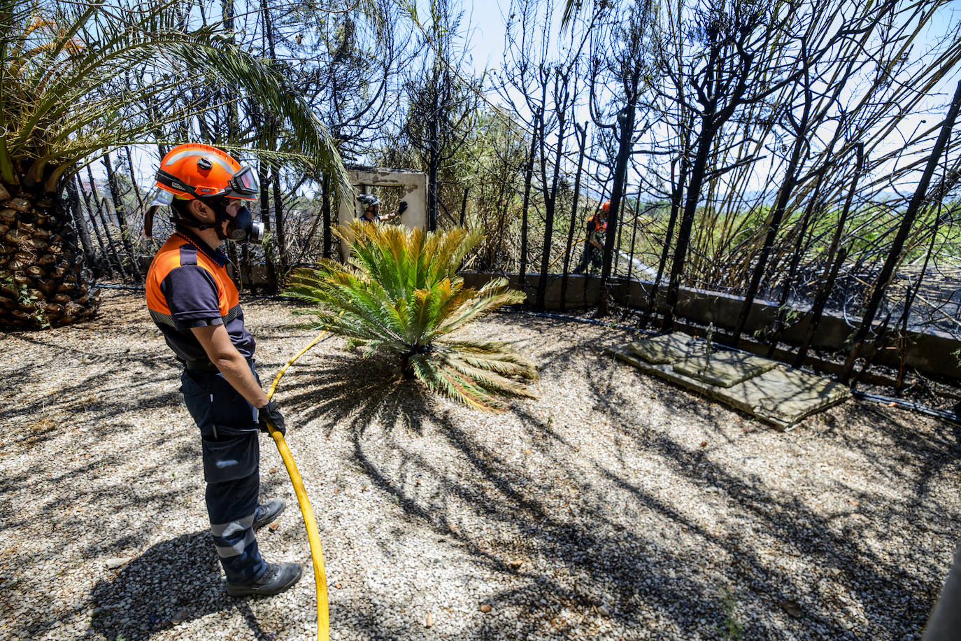 Fotos: Un incendio en un huerto se queda a las puertas del convento de Guadalupe