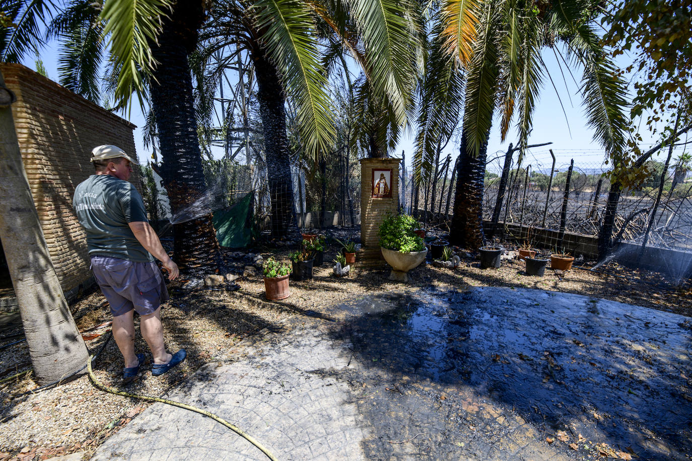 Fotos: Un incendio en un huerto se queda a las puertas del convento de Guadalupe