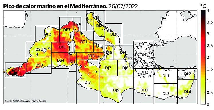 Temperatura del agua en el Mediterráneo con gradación por encima de la media en las últimas cuatro décadas.