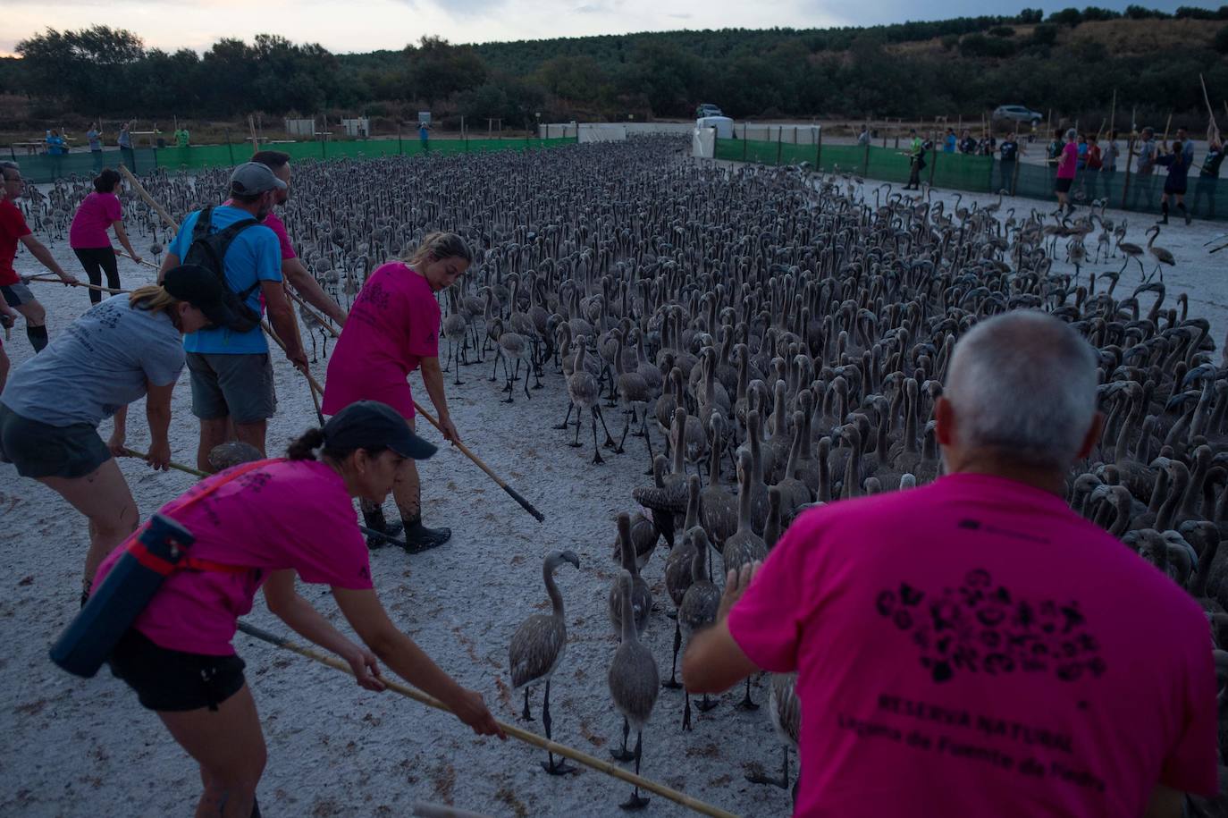 Fotos: Aumenta la familia flamenca andaluza