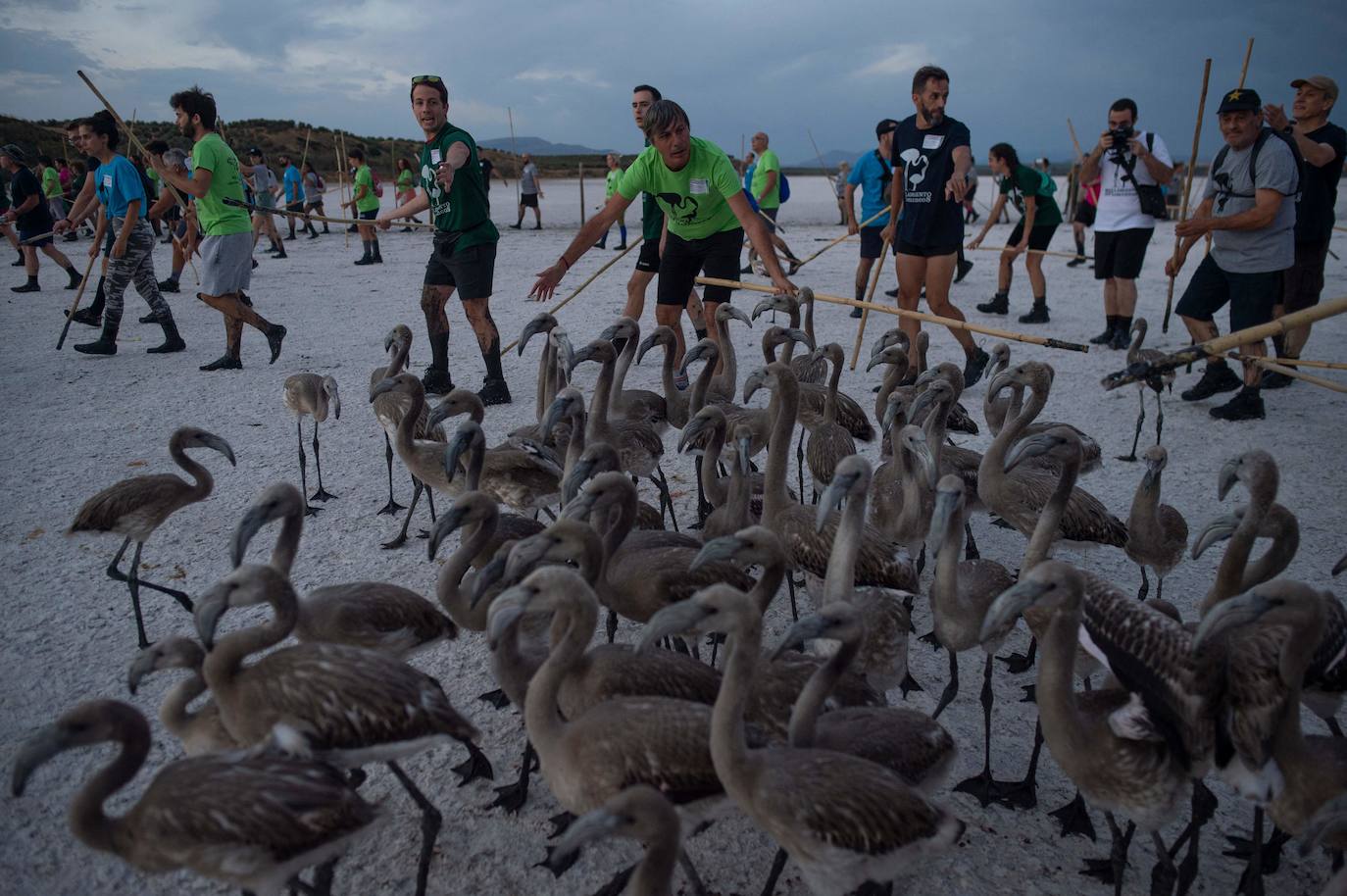 Fotos: Aumenta la familia flamenca andaluza