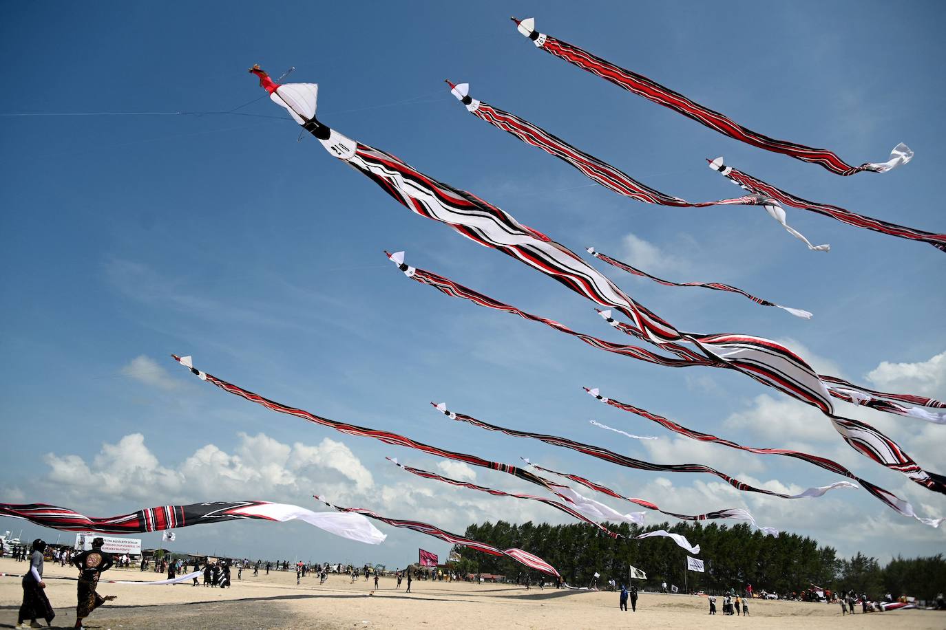 Fotos: Viento, mar y cometas