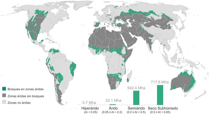 Distribución de bosques en zonas áridas.