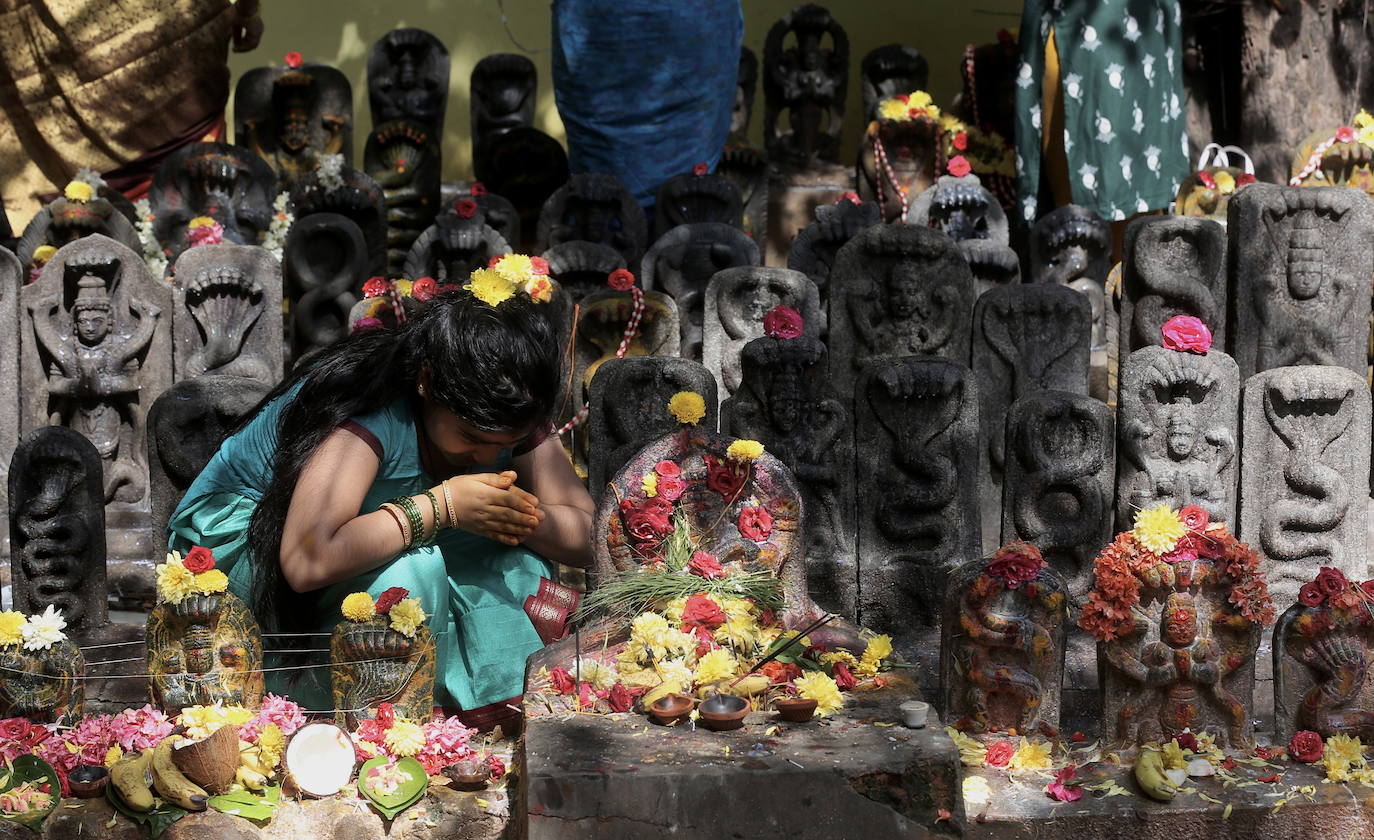 Fotos: Ofrendas y adoración a las serpientes en Bangalore