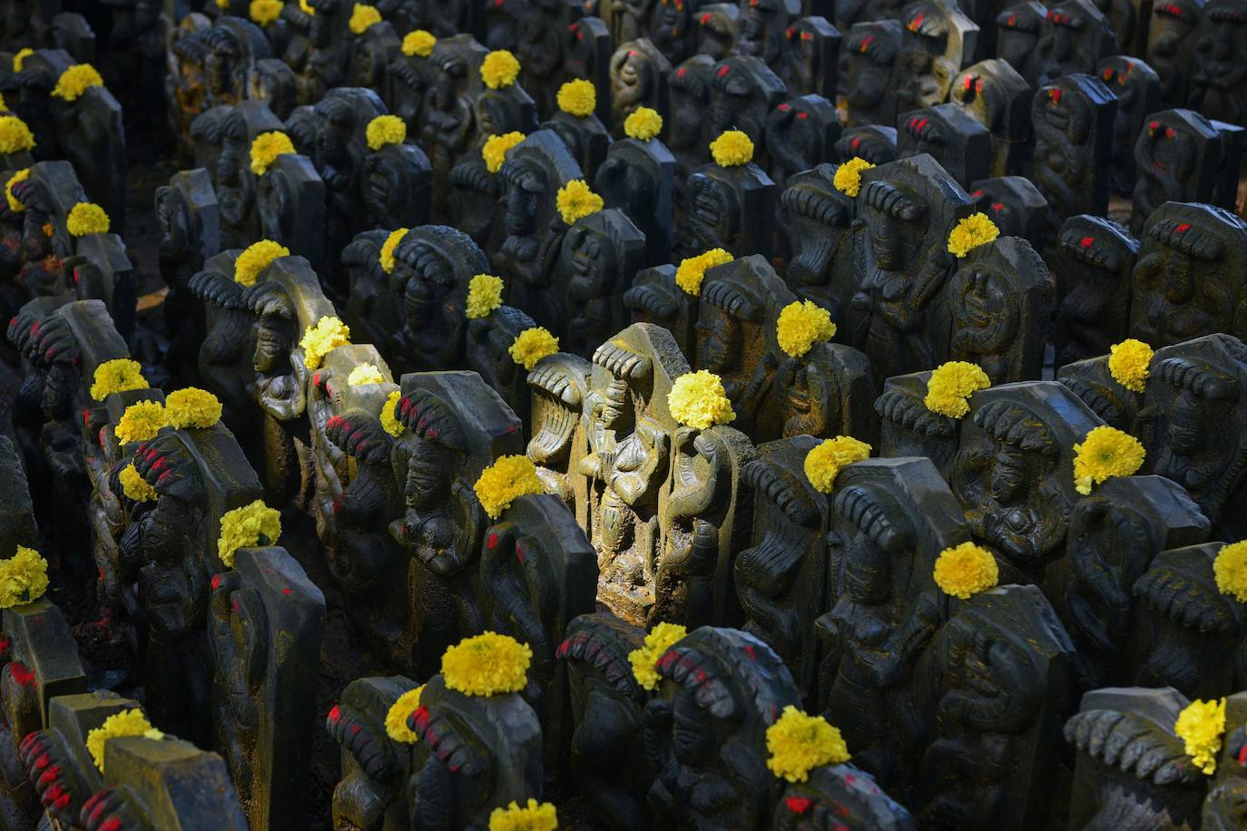 Fotos: Ofrendas y adoración a las serpientes en Bangalore