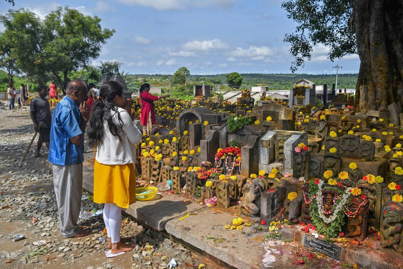 Fotos: Ofrendas y adoración a las serpientes en Bangalore