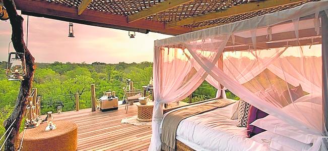 Hotel Sabi Sands (muy bueno). África-Sudáfrica-Sabi Sands. Reserva privada de lujo. A diferencia del parque Kruger, más proteccionista con las especies animales, esta reserva garantiza la visualización de los cinco grandes (elefante, rinoceronte, león, leopardo y búfalo). Los atardeceres evocan los paisajes de la reconocida película ‘Memorias de África’.