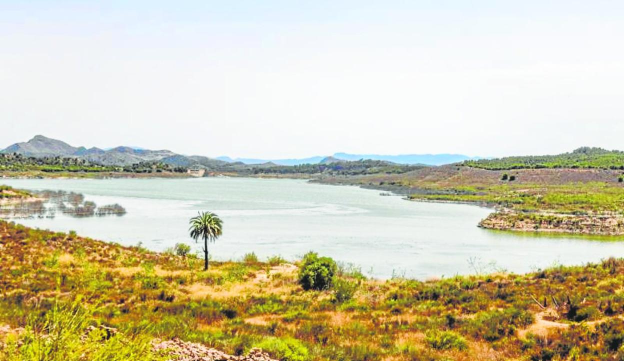 Situación, ayer, del embalse de Santomera, perteneciente a la CHS y que esta semana estaba al 12% de su capacidad. 