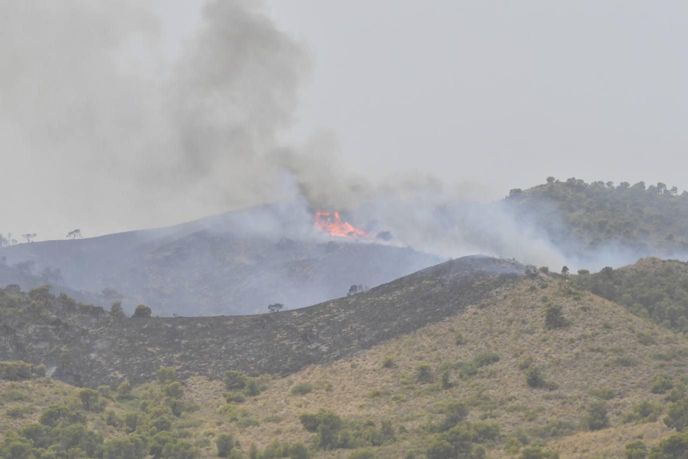 Fotos: Incendio en el paraje de la Patoja