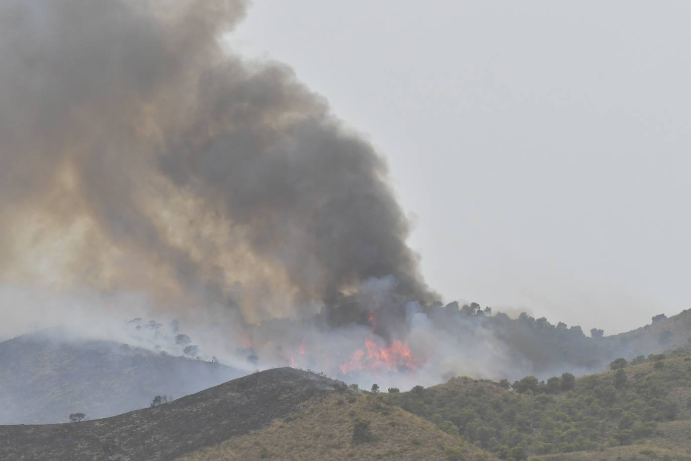 Fotos: Incendio en el paraje de la Patoja