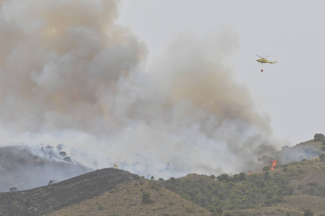 Fotos: Incendio en el paraje de la Patoja