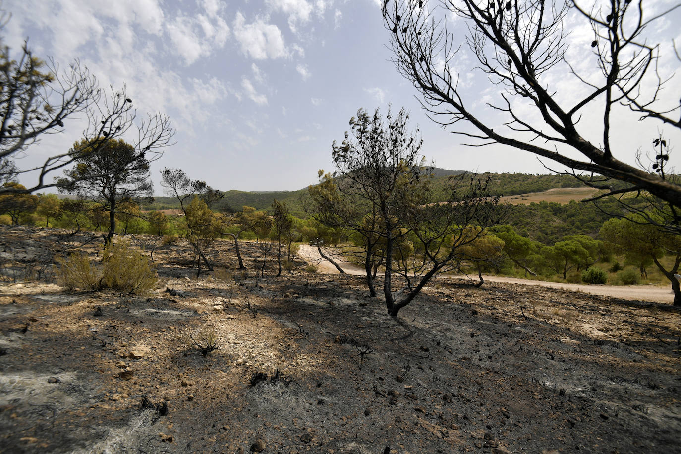 Fotos: Las huellas de la batalla contra el fuego en La Patoja