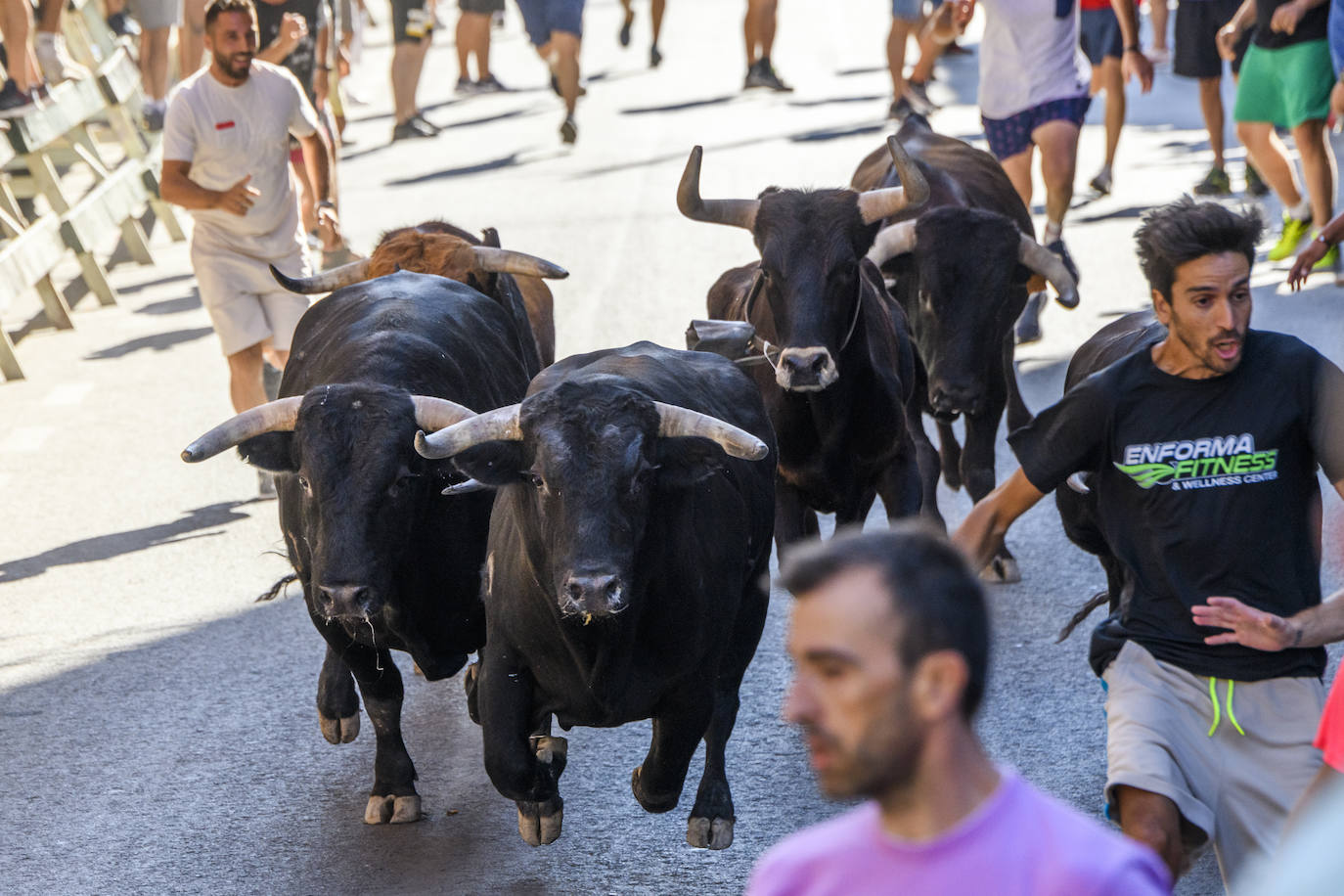 Fotos: Último encierro de las fiestas de Blanca