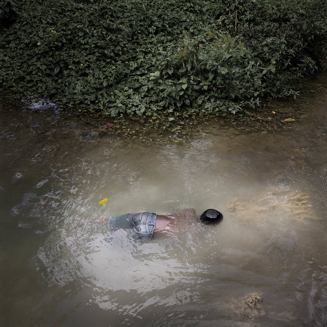 Fotos: Exposiciones &#039;Fluye&#039; y &#039;Son&#039;