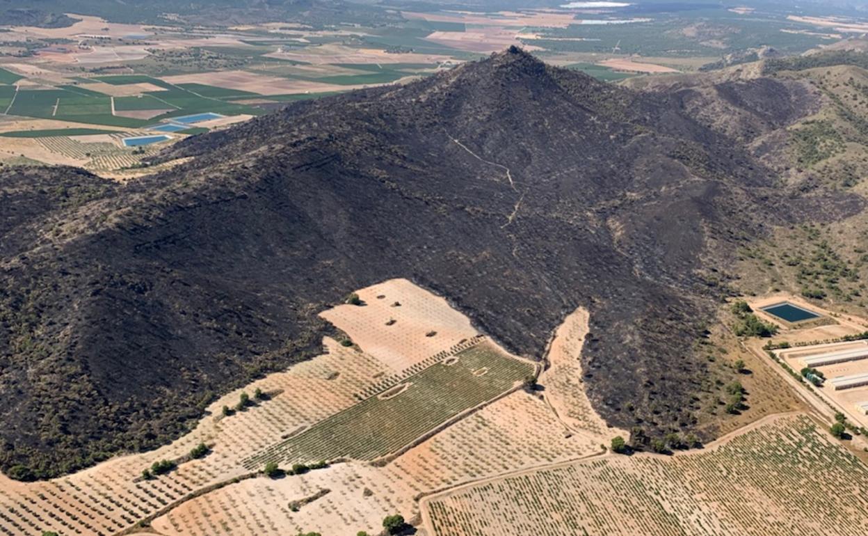 Vista aérea de la superficie quemada en el incendio de La Patoja, en Jumilla. 