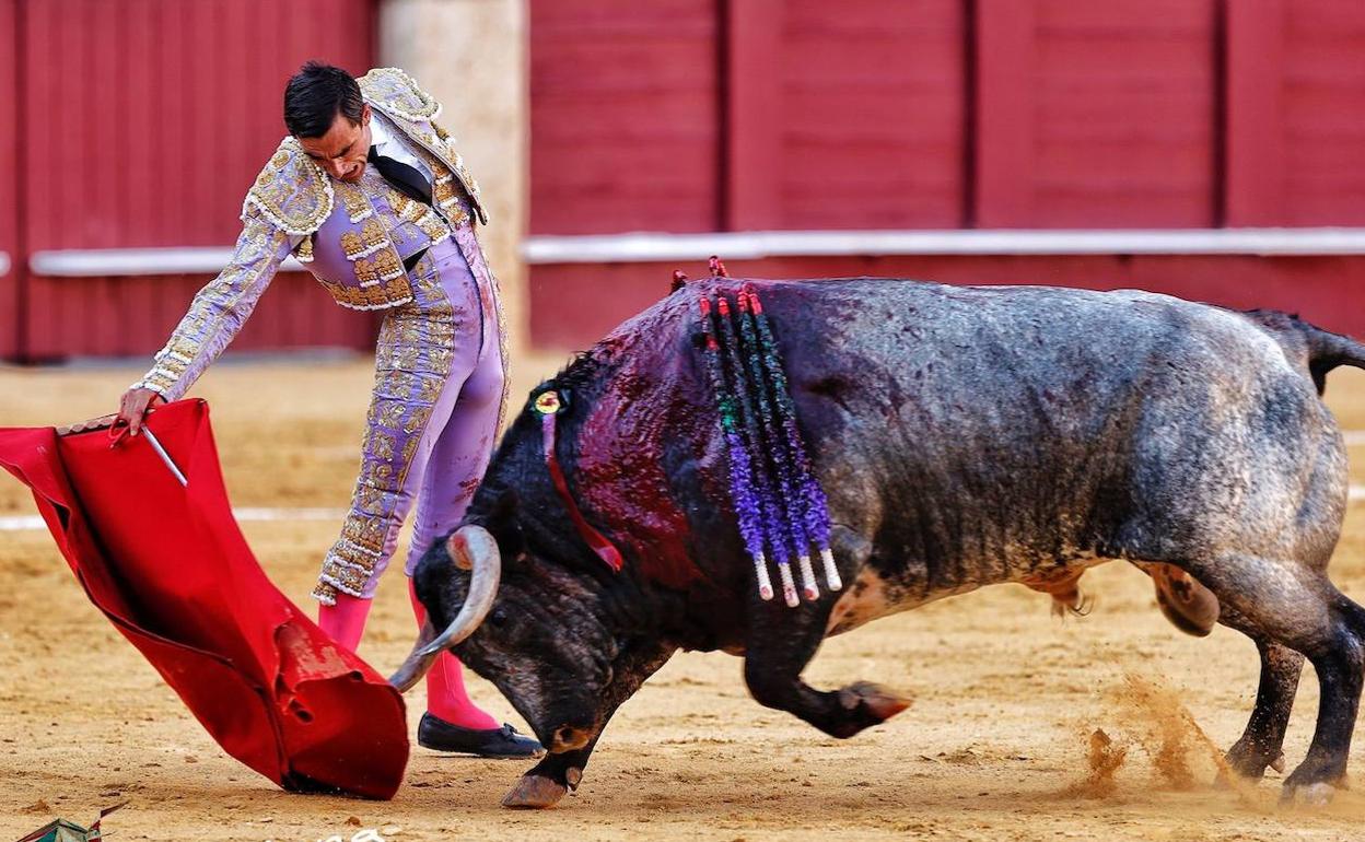 Paco Ureña, en la Feria de Málaga, este lunes.